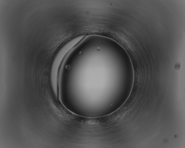 X0000091180546200708231531