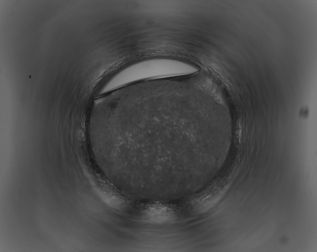 X0000091180547200708231531