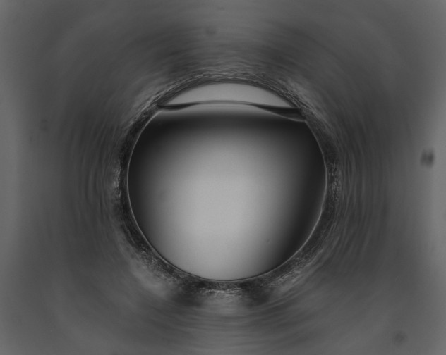 X0000091180548200708231531