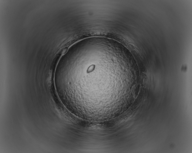 X0000091180550200708231531