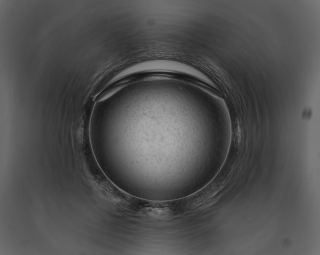 X0000091180552200708231531