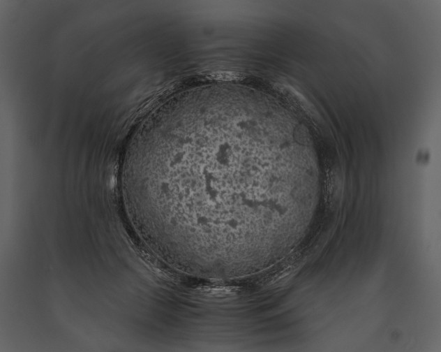 X0000091180553200708231531