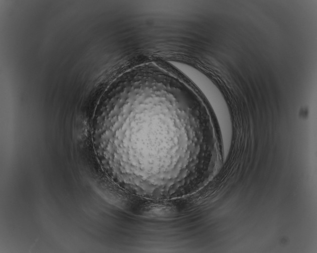 X0000091180555200708231531