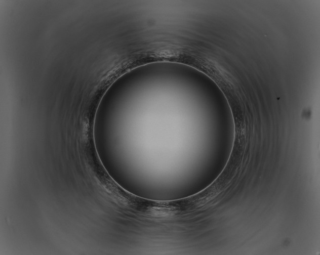 X0000091180556200708231531