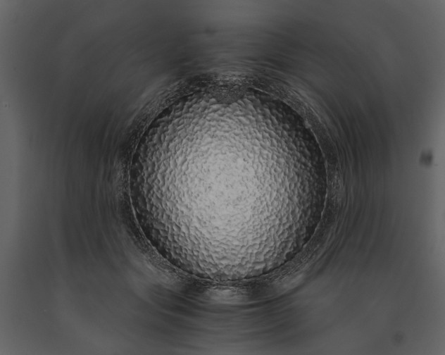X0000091180557200708231531