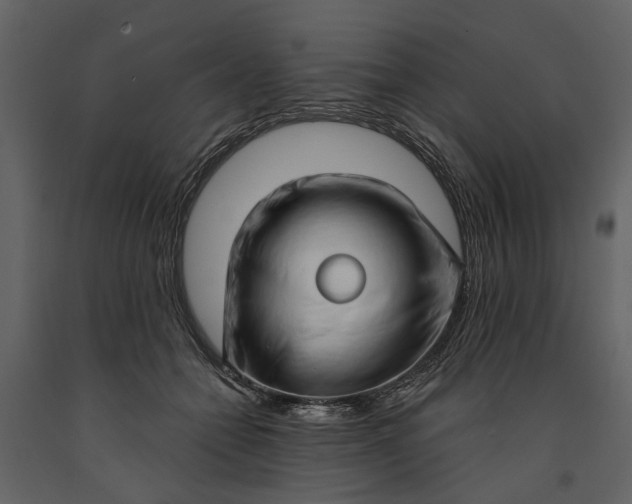 X0000091180558200708231531
