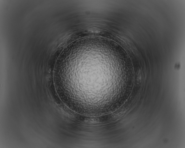 X0000091180559200708231531