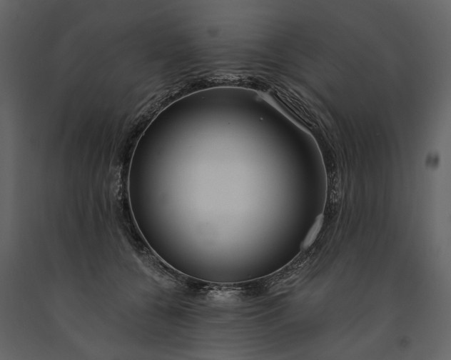X0000091180560200708231531