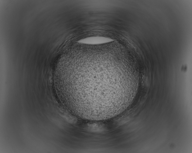 X0000091180561200708231531