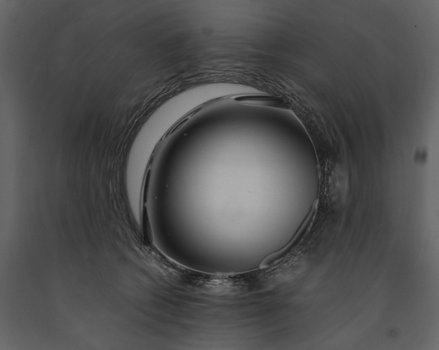 X0000091180562200708231531