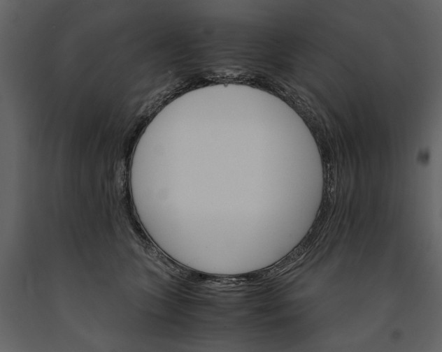 X0000091180563200708231531