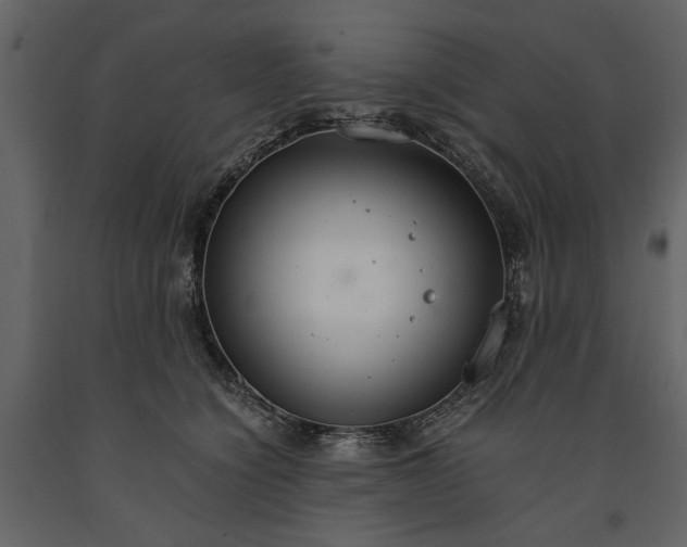 X0000091180564200708231531
