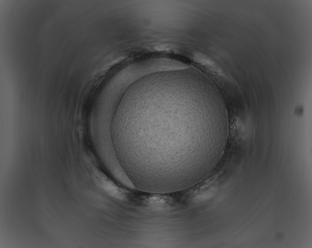 X0000091180566200708231531