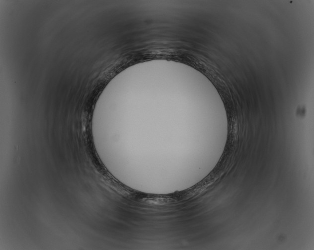 X0000091180567200708231531