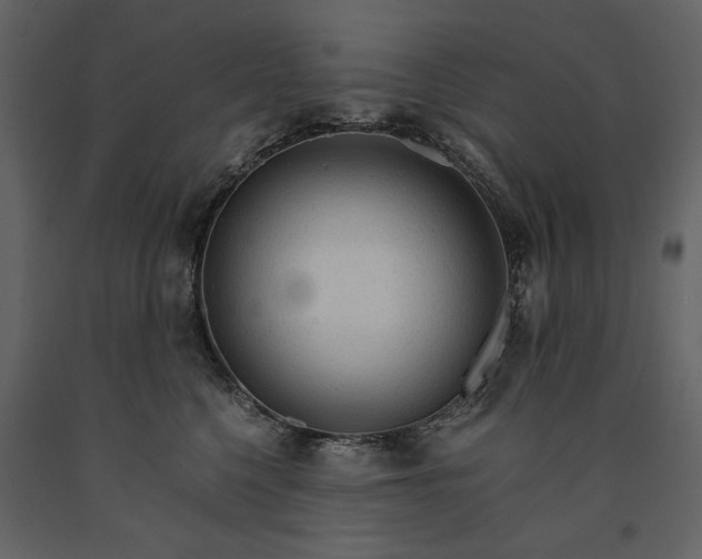X0000091180568200708231531