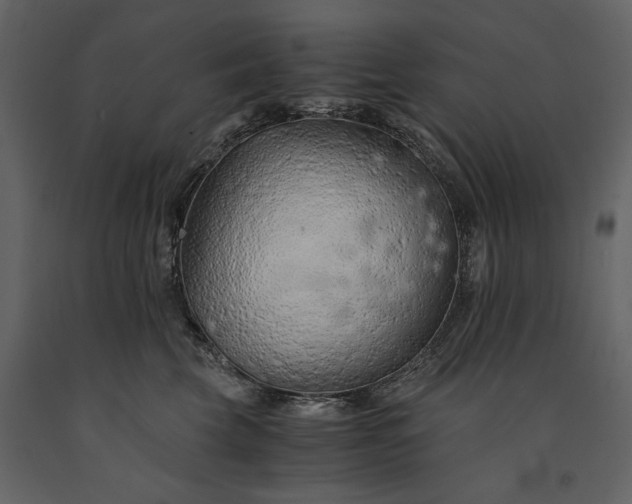 X0000091180569200708231531