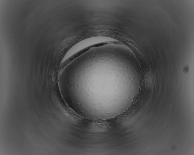 X0000091180571200708231531