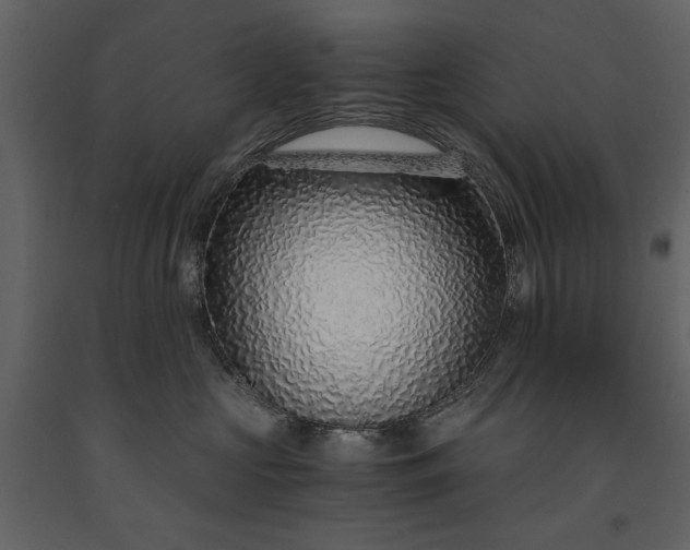 X0000091180573200708231531