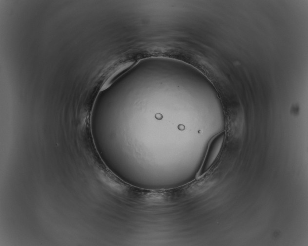 X0000091180574200708231531