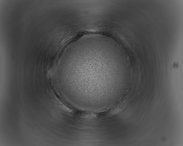 X0000091180576200708231531