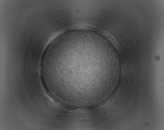 X0000091180578200708231531