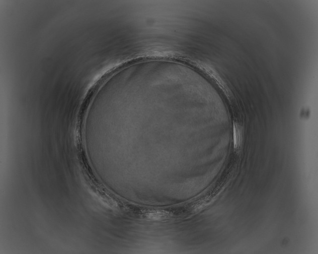 X0000091180579200708231531