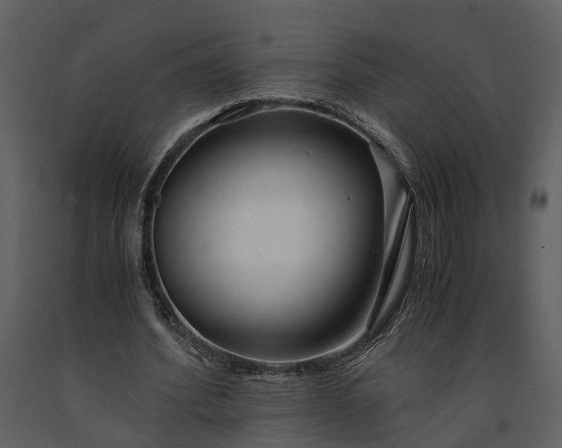 X0000091180580200708231531