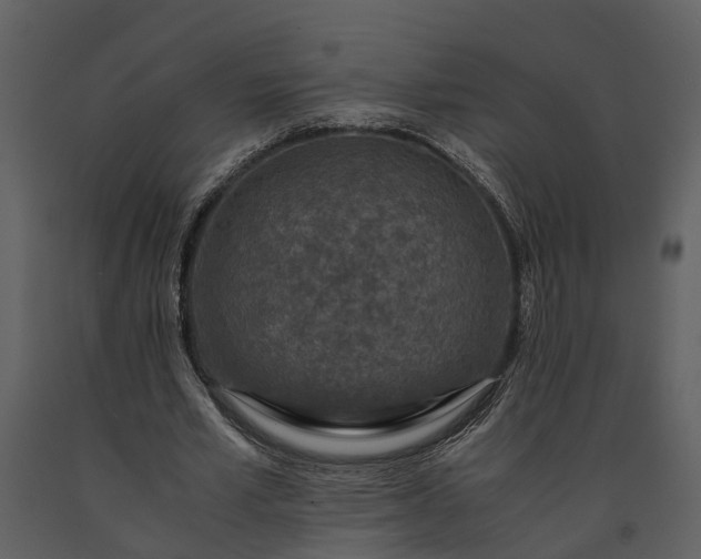 X0000091180581200708231531