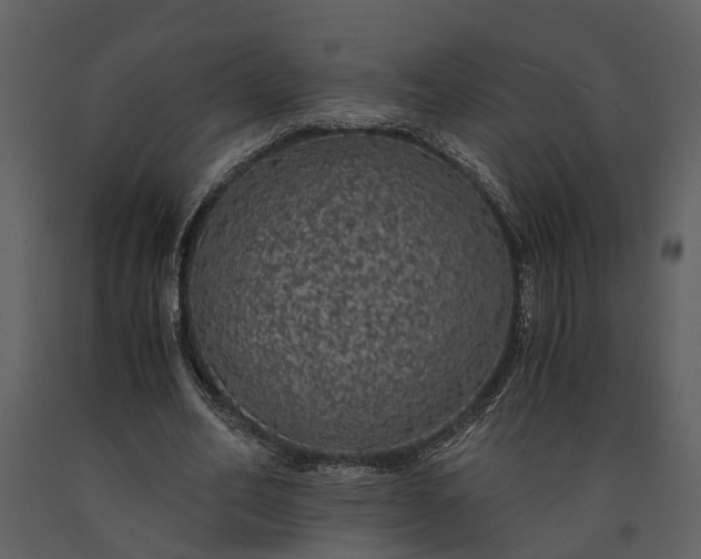 X0000091180582200708231531