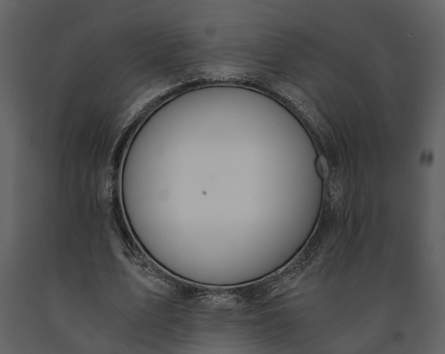 X0000091180583200708231531