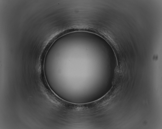 X0000091180584200708231531