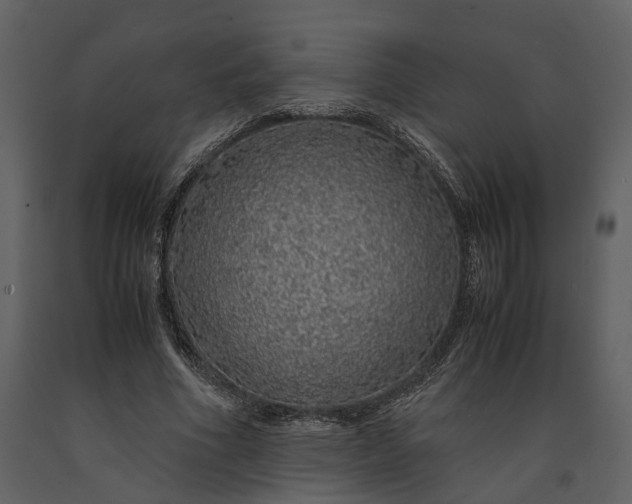 X0000091180586200708231531