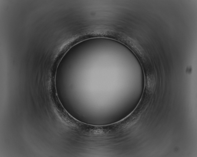 X0000091180588200708231531