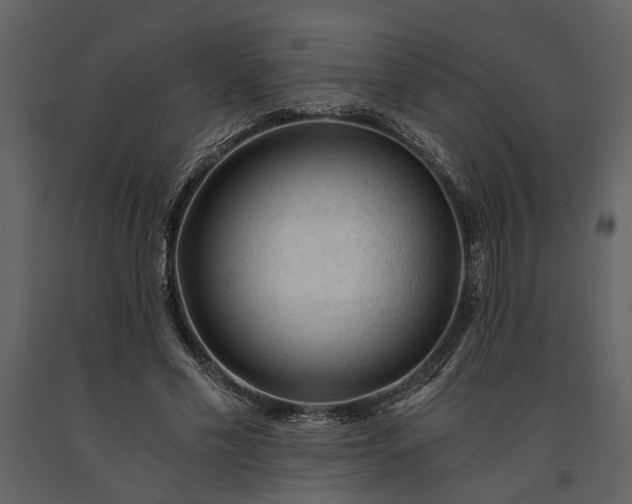 X0000091180589200708231531