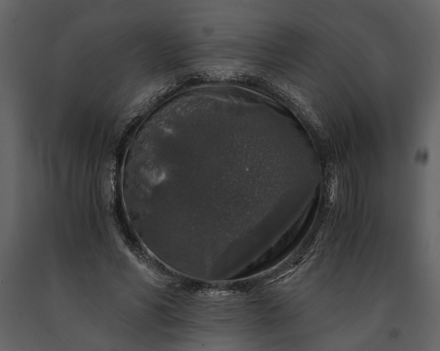 X0000091180590200708231531