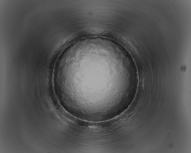 X0000091180591200708231531