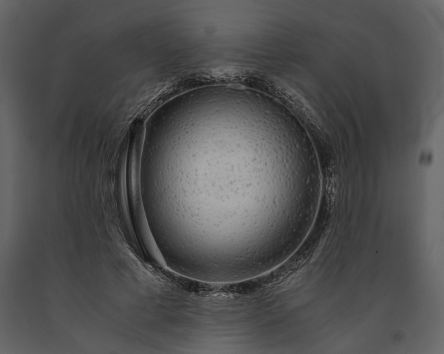 X0000091180593200708231531