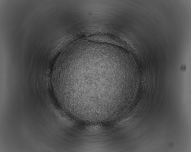 X0000091180594200708231531