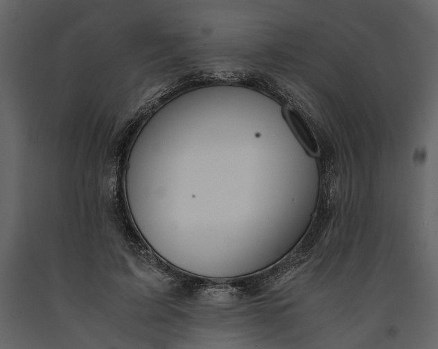 X0000091180595200708231531