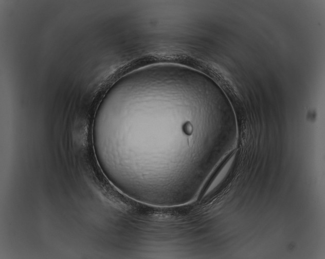 X0000091180596200708231531