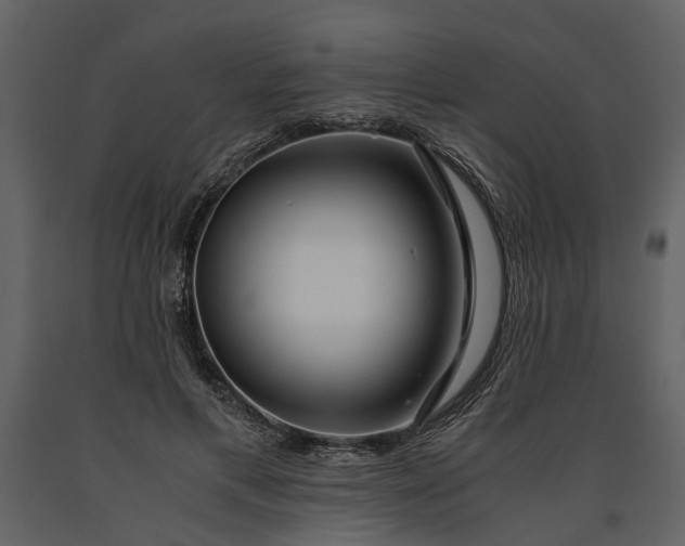 X0000091180597200708231531
