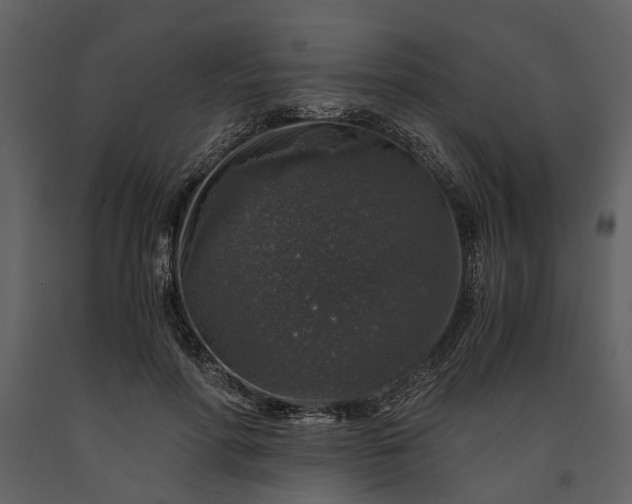 X0000091180598200708231531