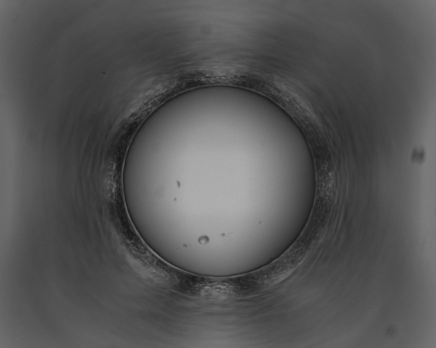 X0000091180599200708231531
