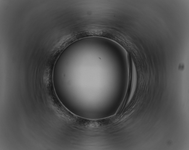 X0000091180600200708231531