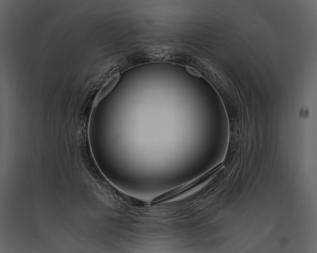 X0000091180601200708231530