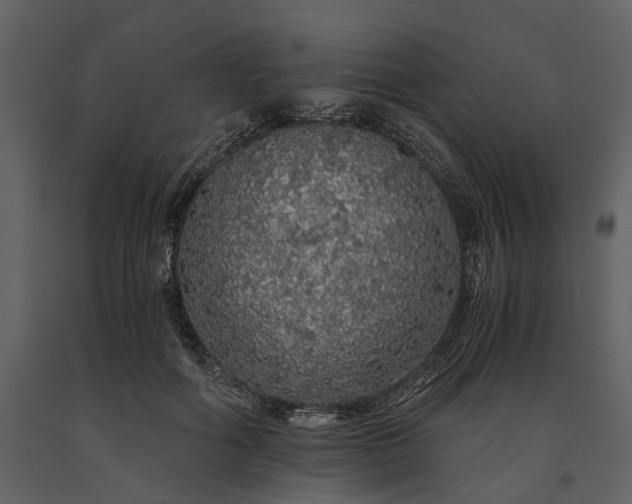 X0000091180602200708231530