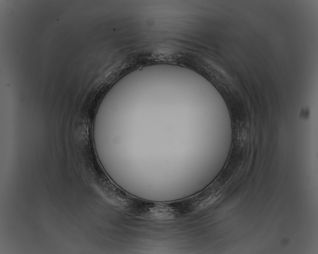 X0000091180603200708231530