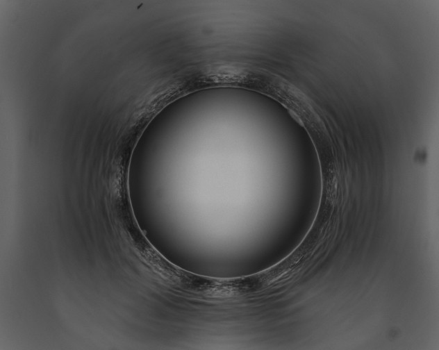 X0000091180604200708231530