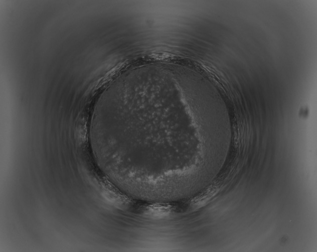 X0000091180606200708231530