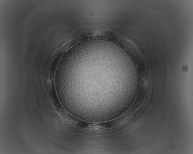 X0000091180607200708231530